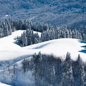 荡暴露狂女娃⒣
