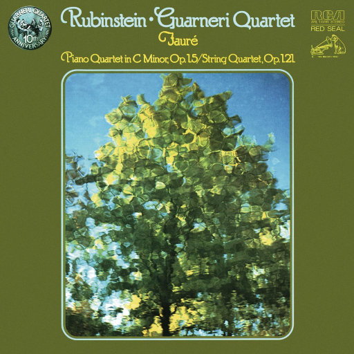 荡暴露狂女娃⒣
